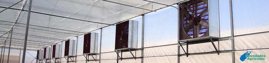 How to Improve Greenhouse Ventilation